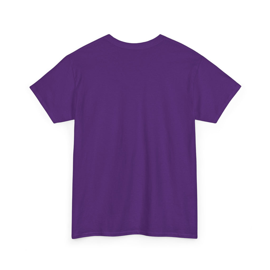Paladin | DnD class T-shirt