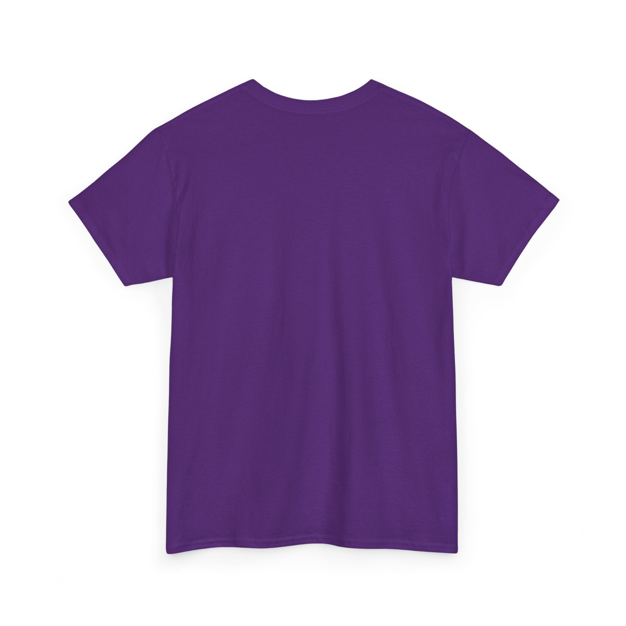 Paladin | DnD class T-shirt