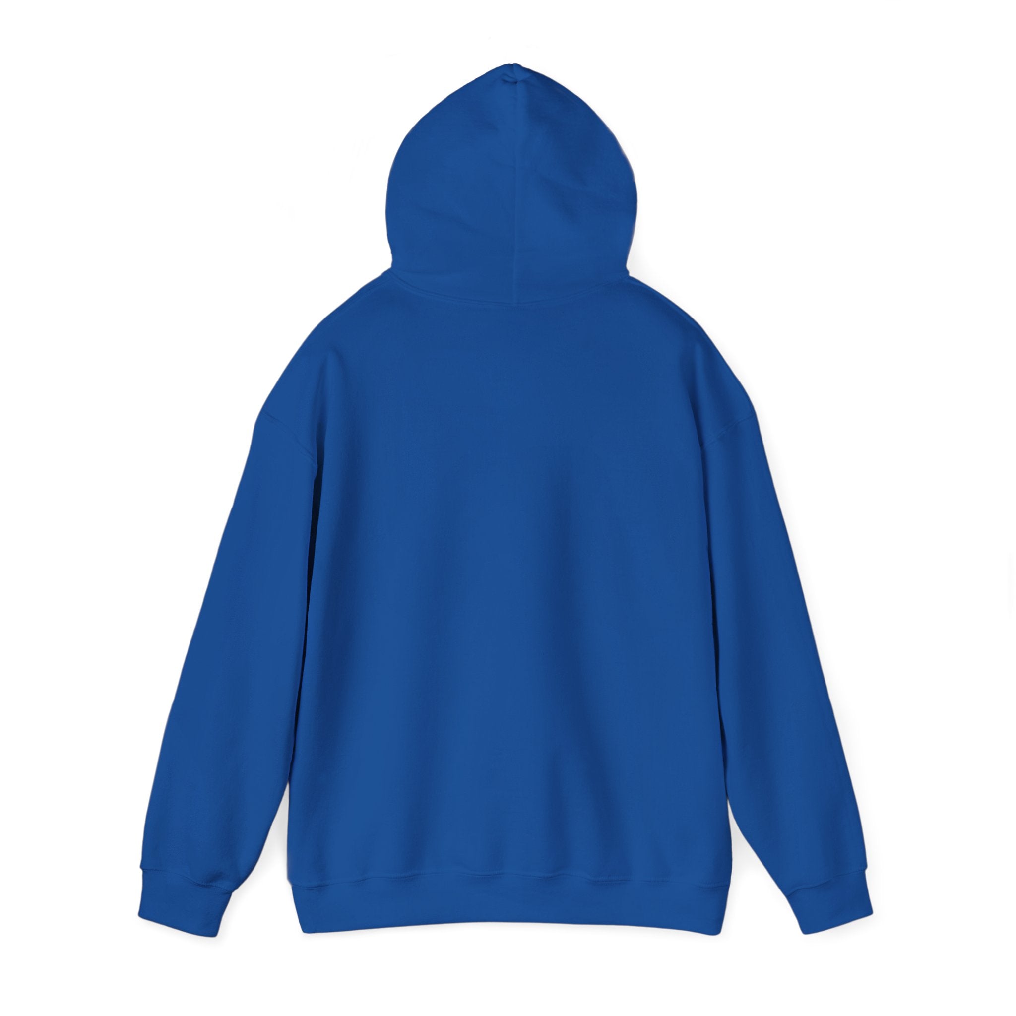 Rogue | DnD class Hoodie