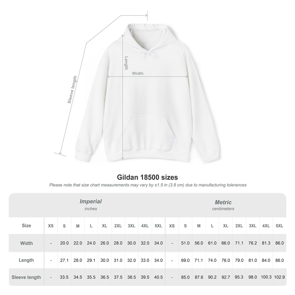 Wizard | DnD class Hoodie