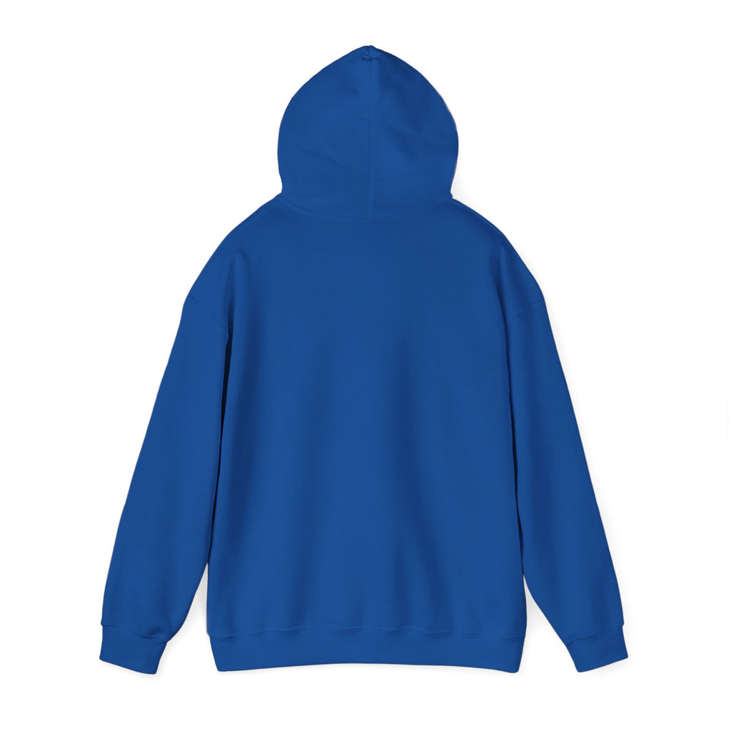 Paladin | DnD class Hoodie