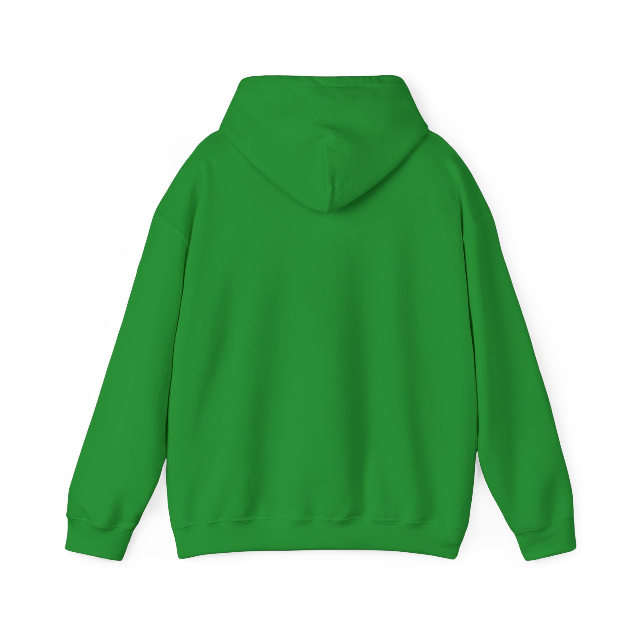 Book Worm? I Am a Book Dragon, Fantasy Reader Hoodie