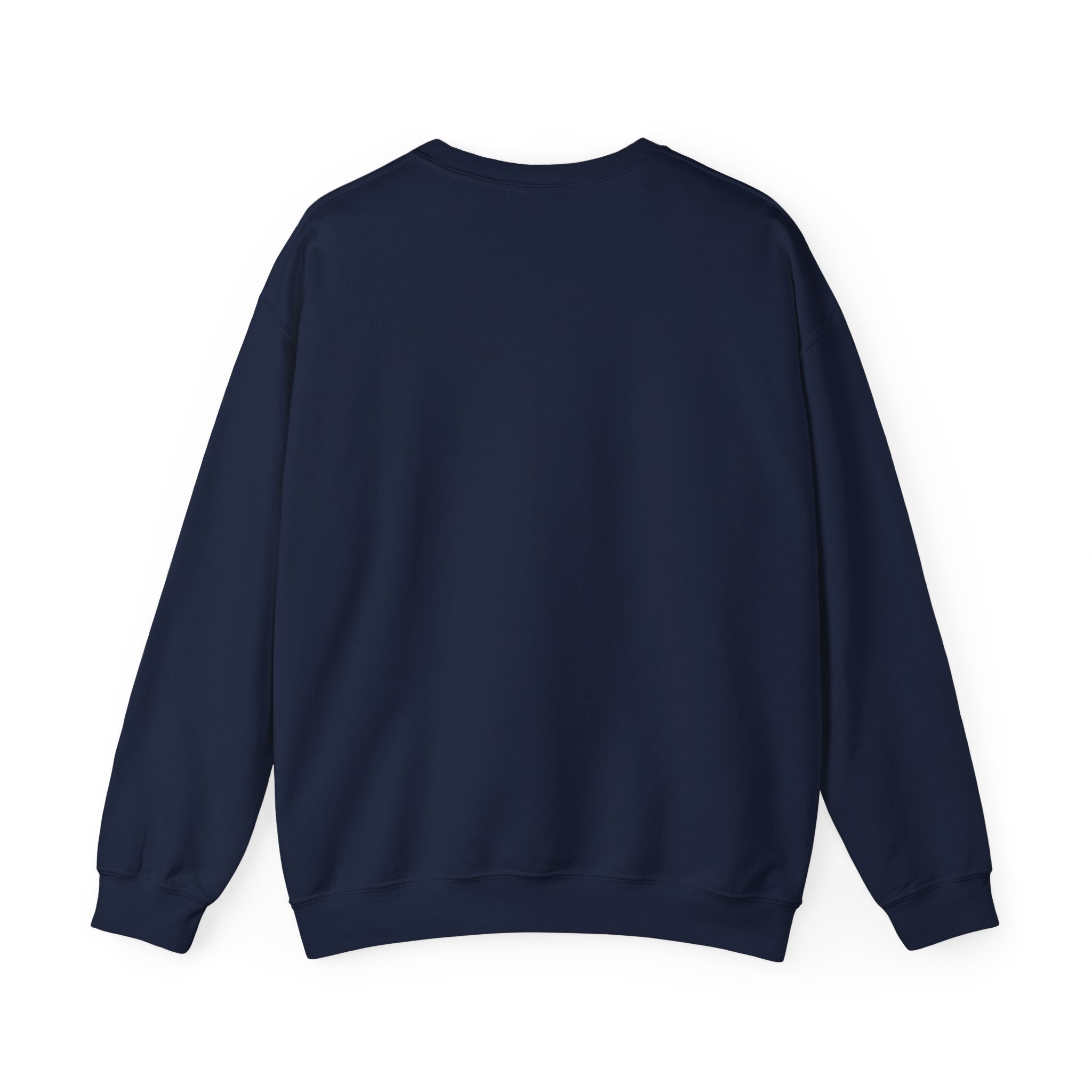 Fighter | DnD class Sweatshirt
