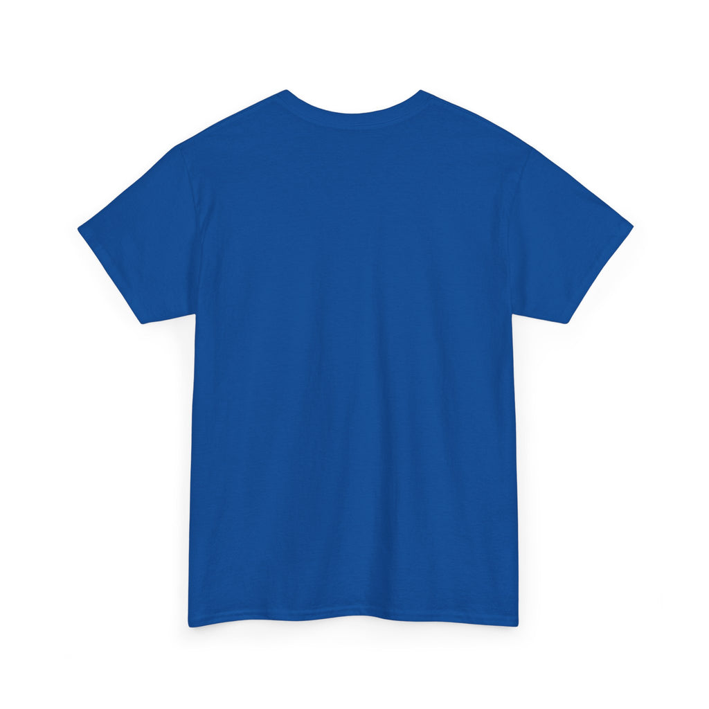 Paladin | DnD class T-shirt