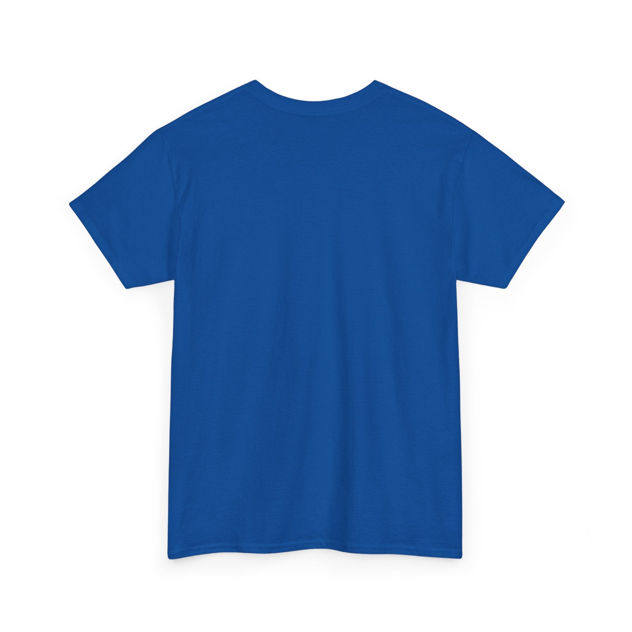 Paladin | DnD class T-shirt
