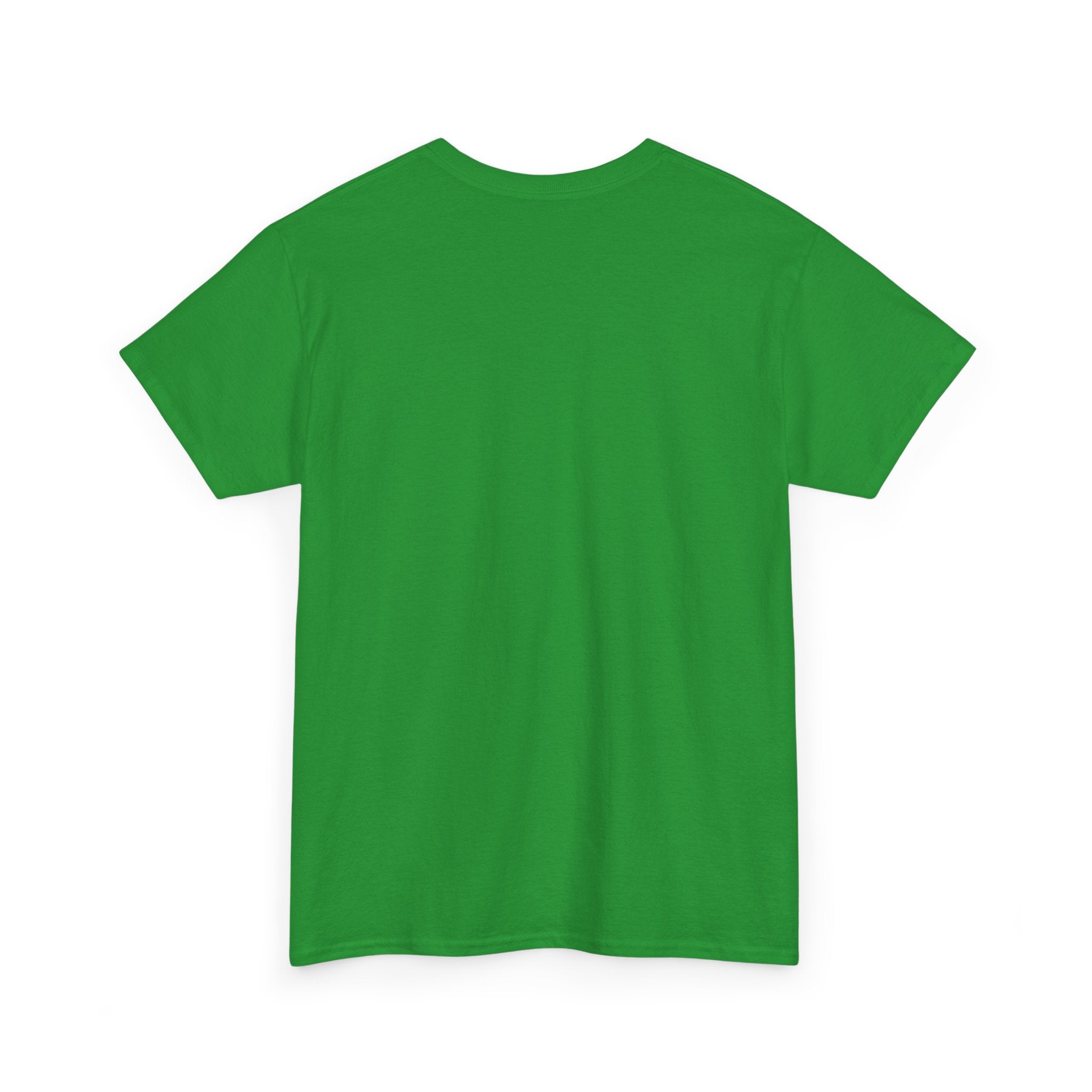 Book Worm? I Am a Book Dragon, Fantasy Reader T-shirt