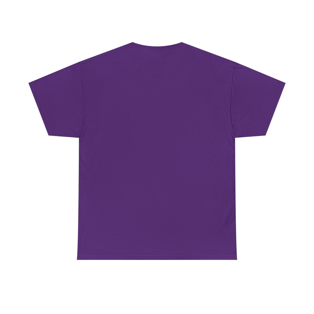 Paladin | DnD class T-shirt