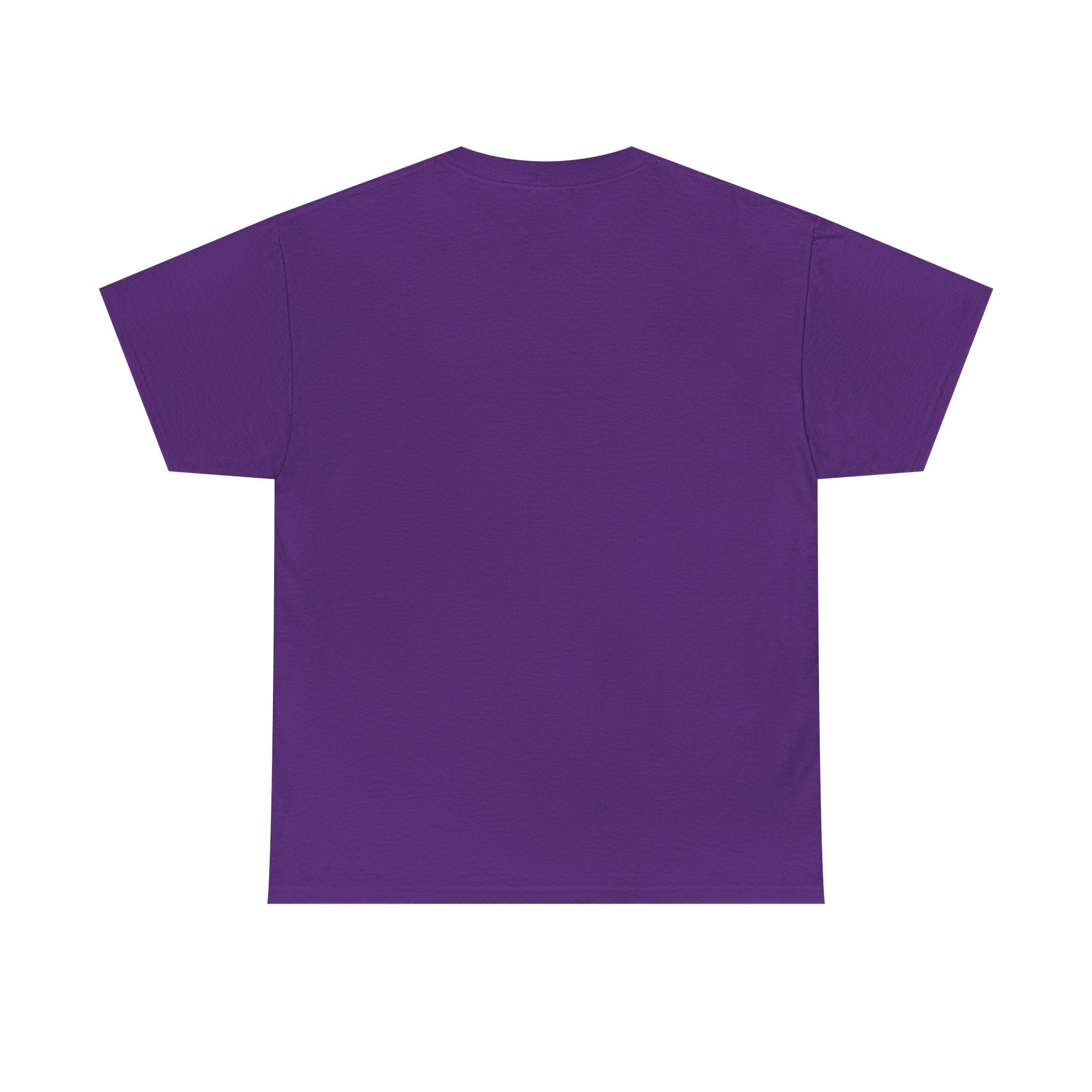 Paladin | DnD class T-shirt