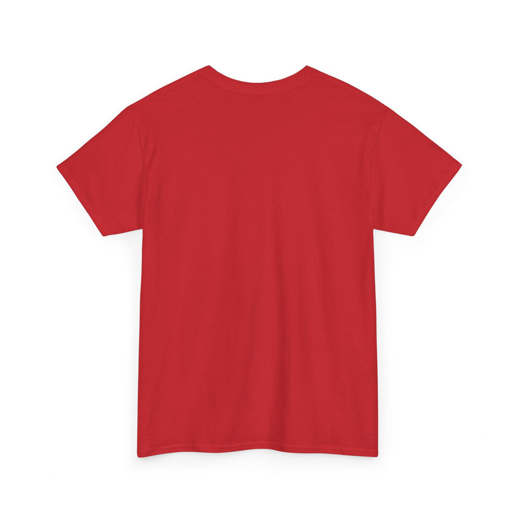 Paladin | DnD class T-shirt