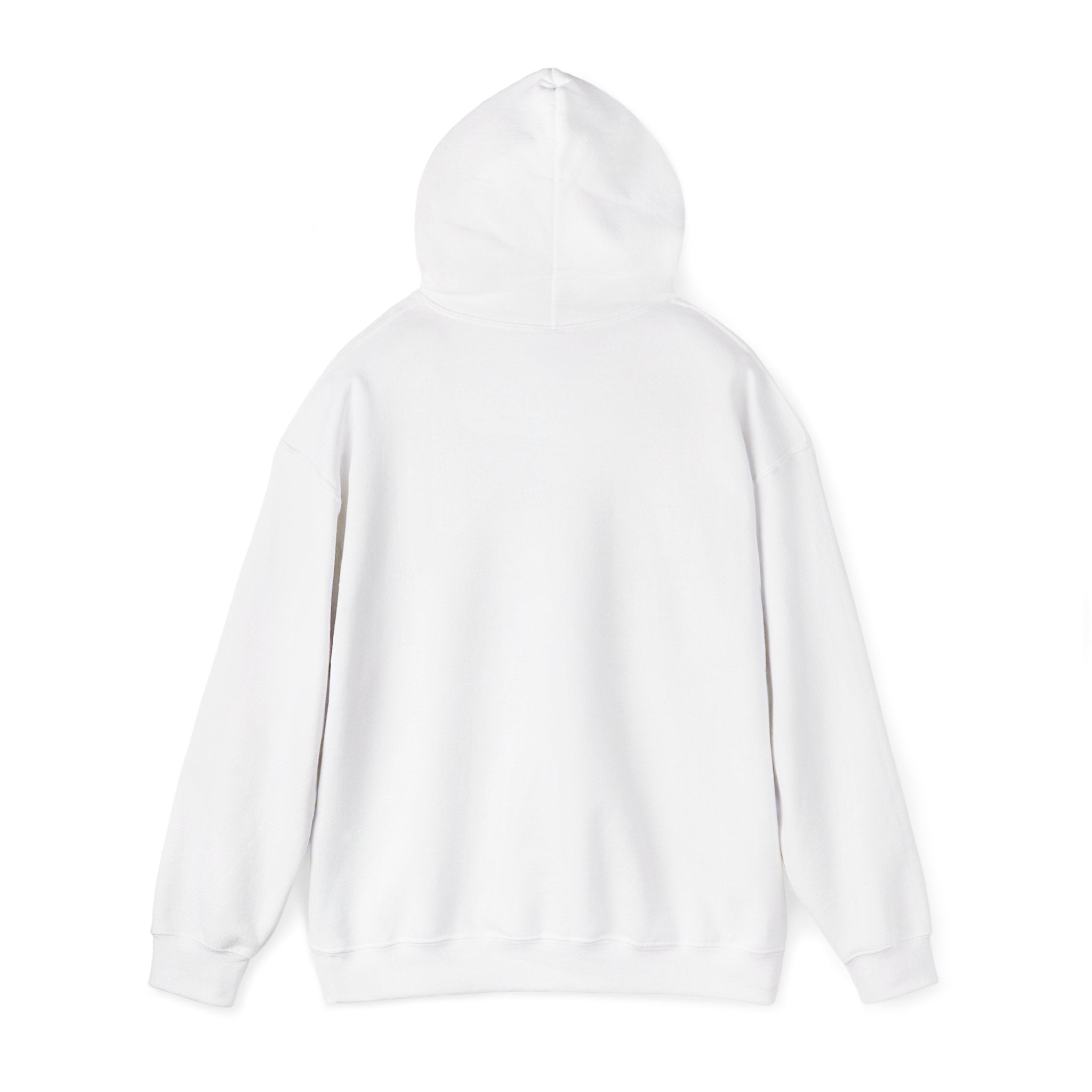 Paladin | DnD class Hoodie