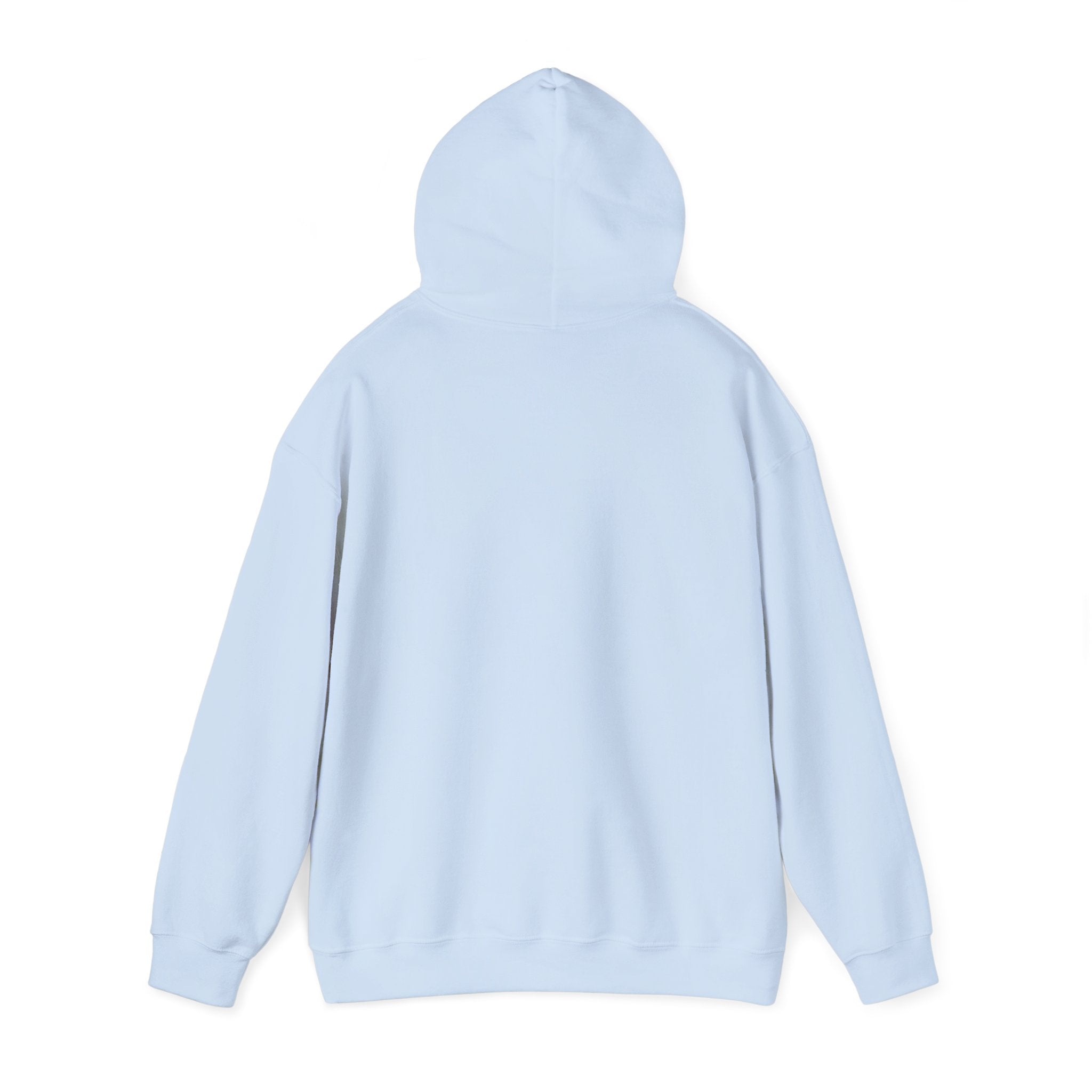 Paladin | DnD class Hoodie