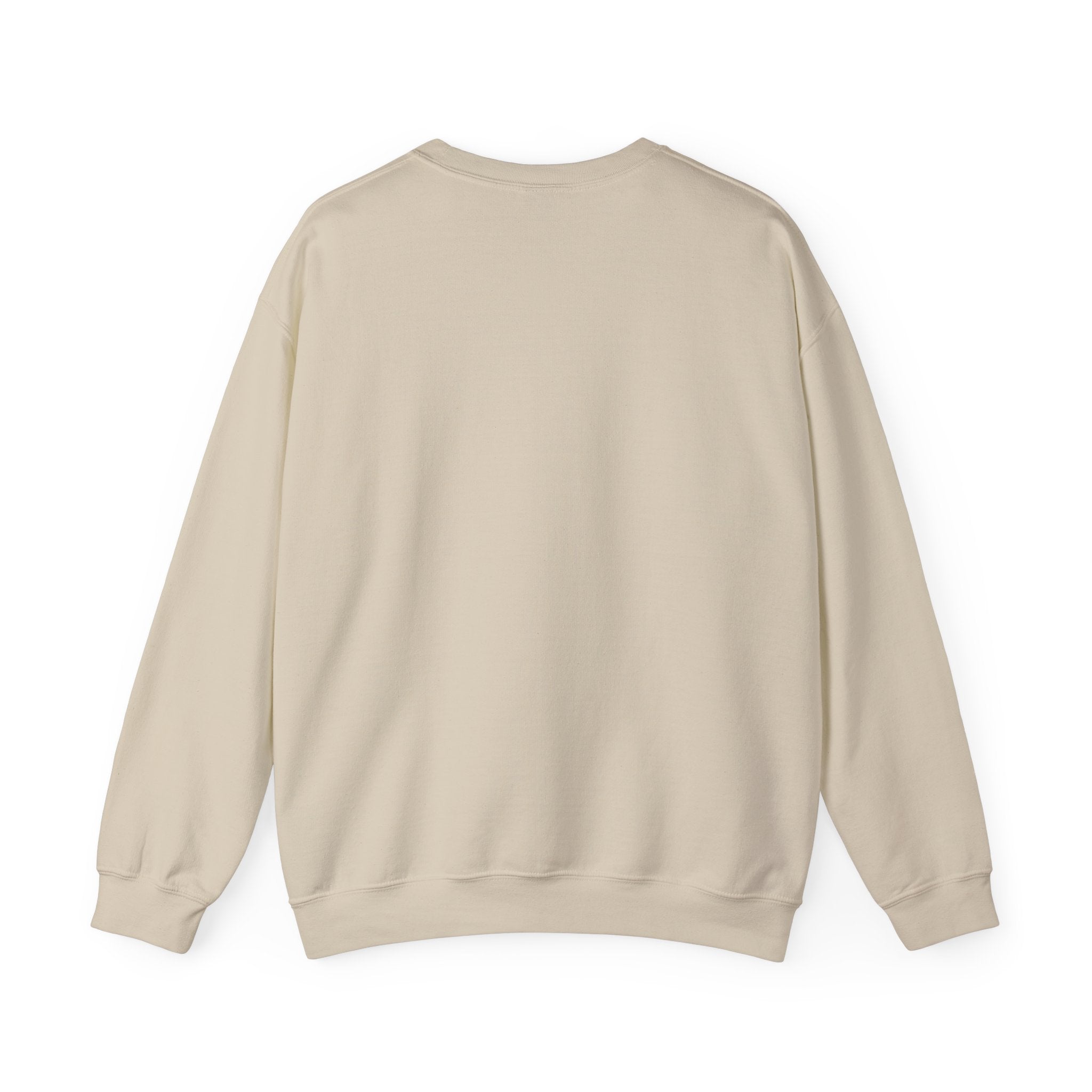 Paladin | DnD class Sweatshirt