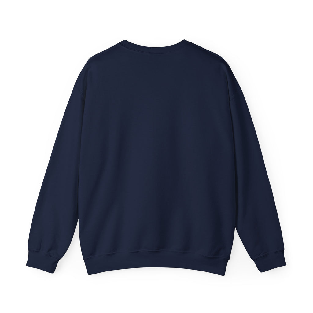 Paladin | DnD class Sweatshirt