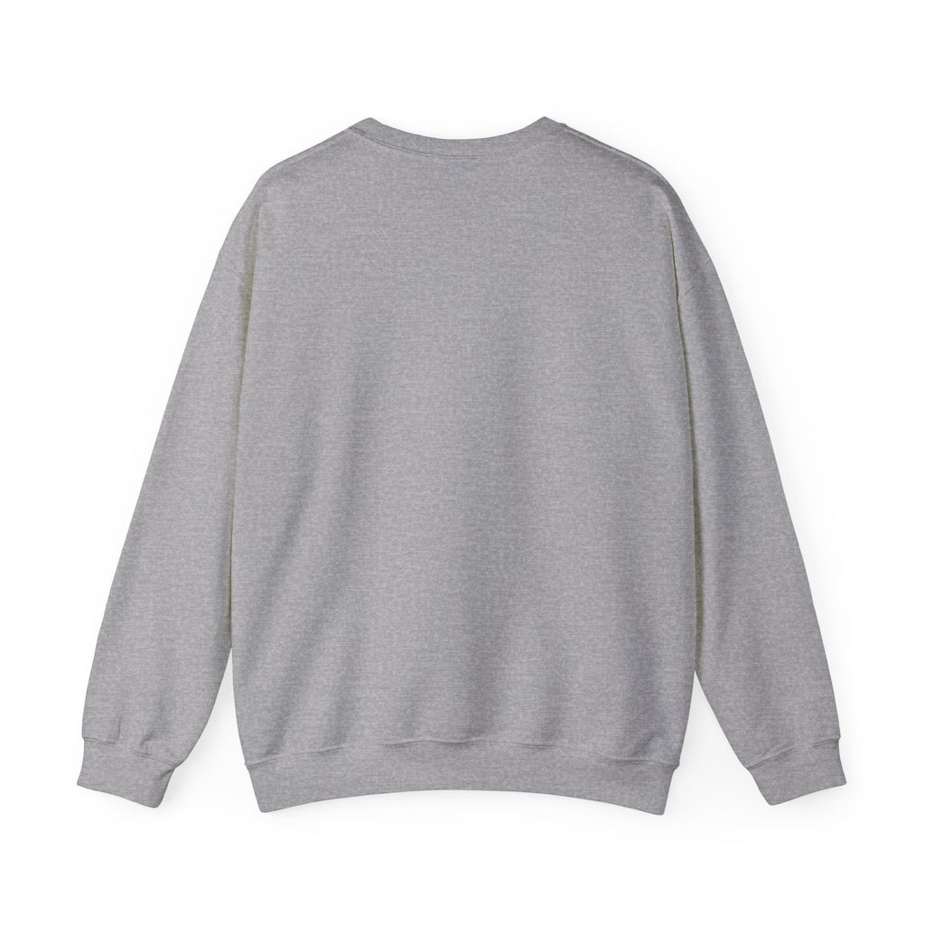 Paladin | DnD class Sweatshirt