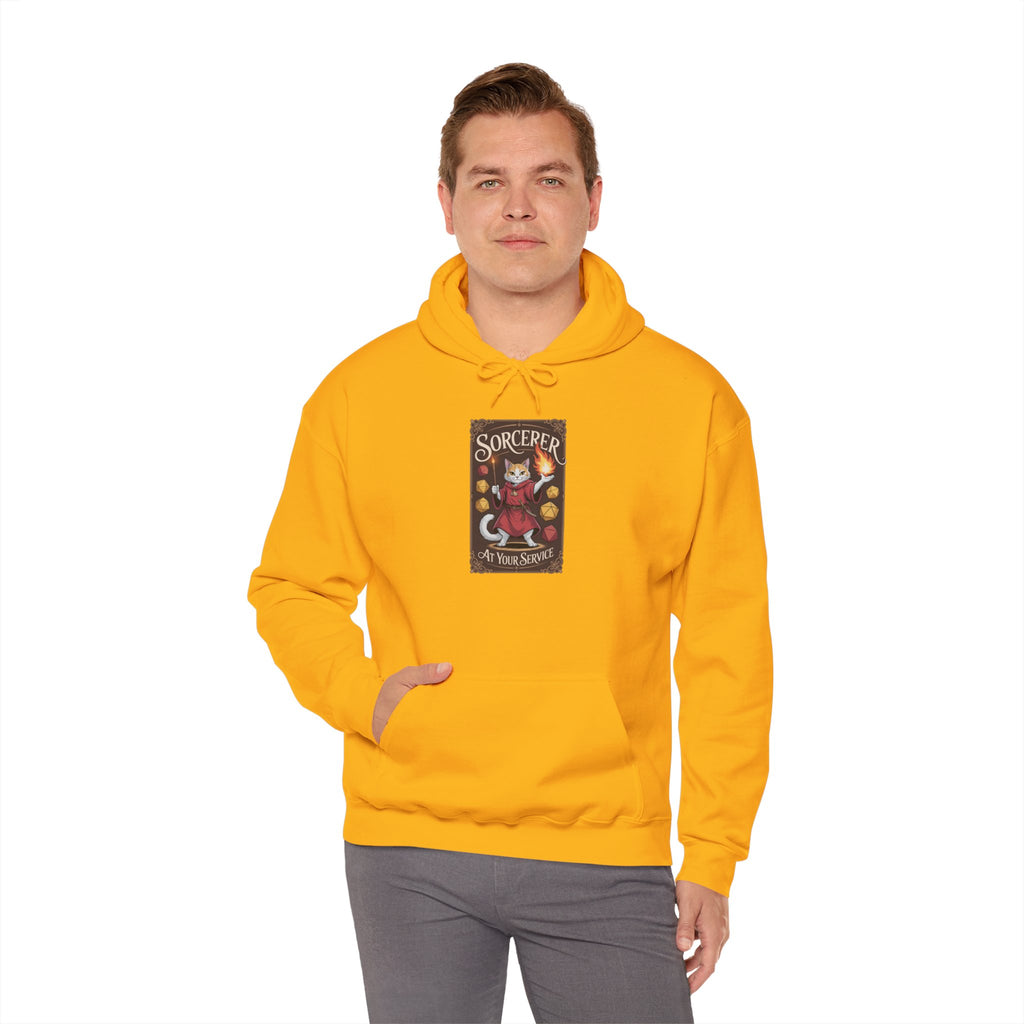 Sorcerer Cat at Your Service D&D Hoodie | Cat Lover RPG Gift