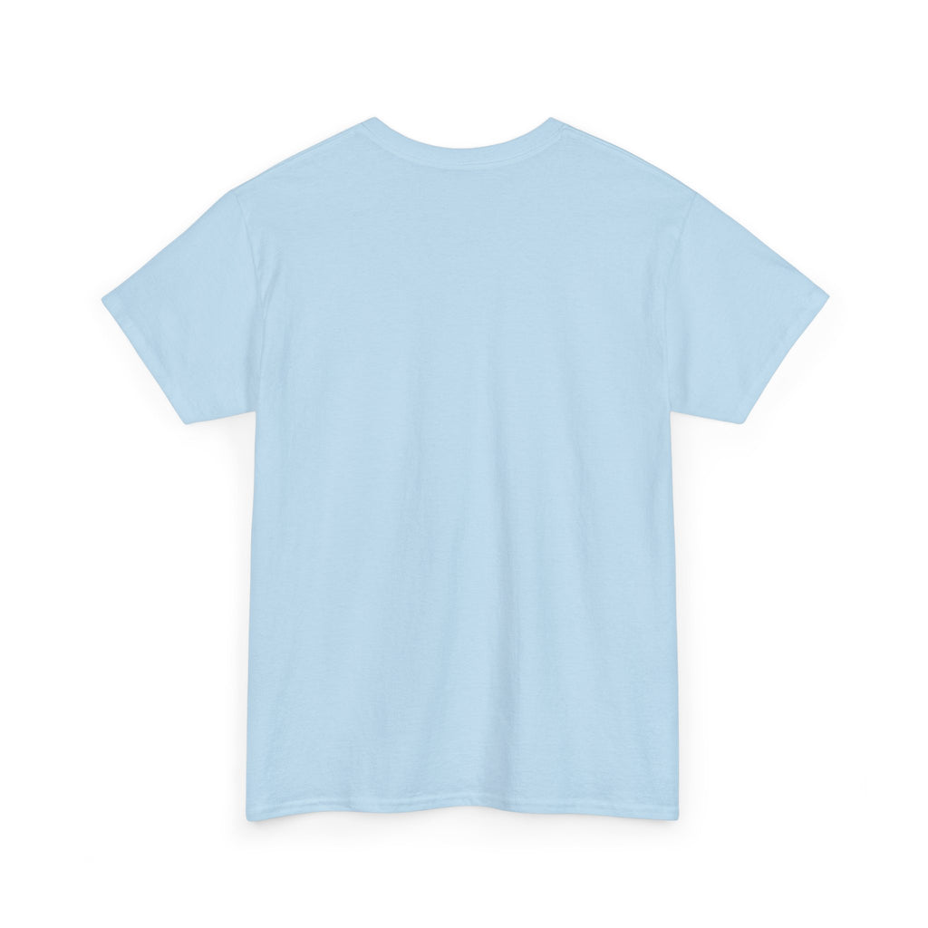 Paladin | DnD class T-shirt