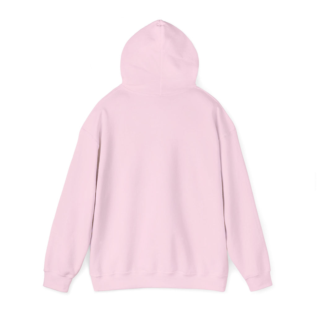 Paladin | DnD class Hoodie