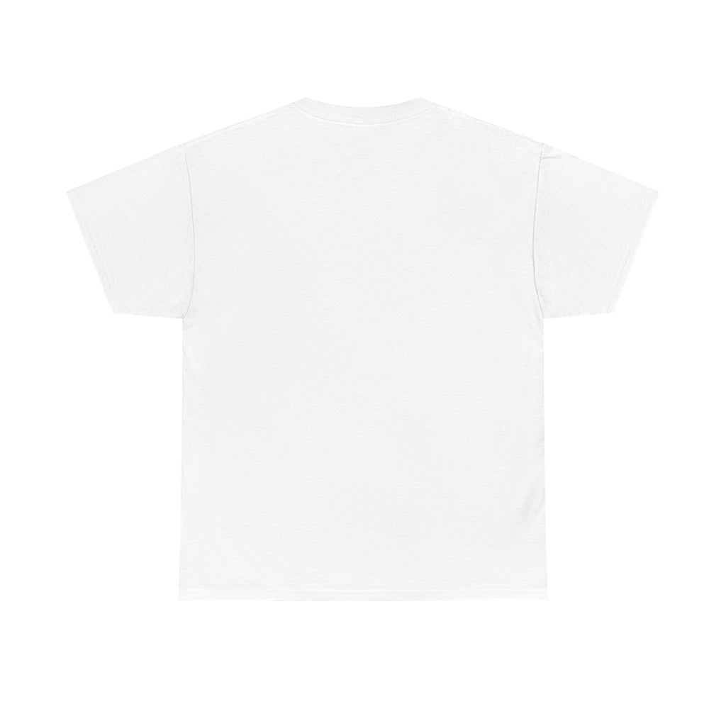 Paladin | DnD class T-shirt
