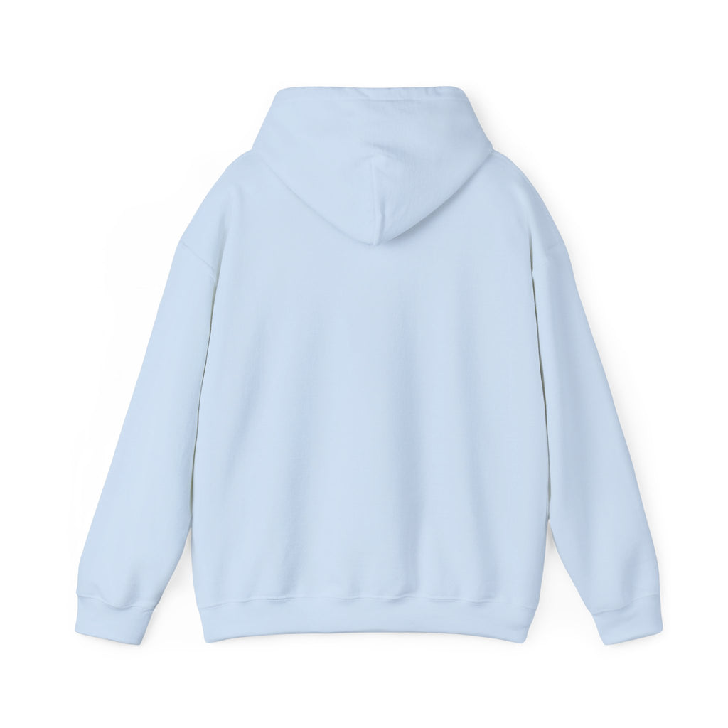 Paladin | DnD class Hoodie