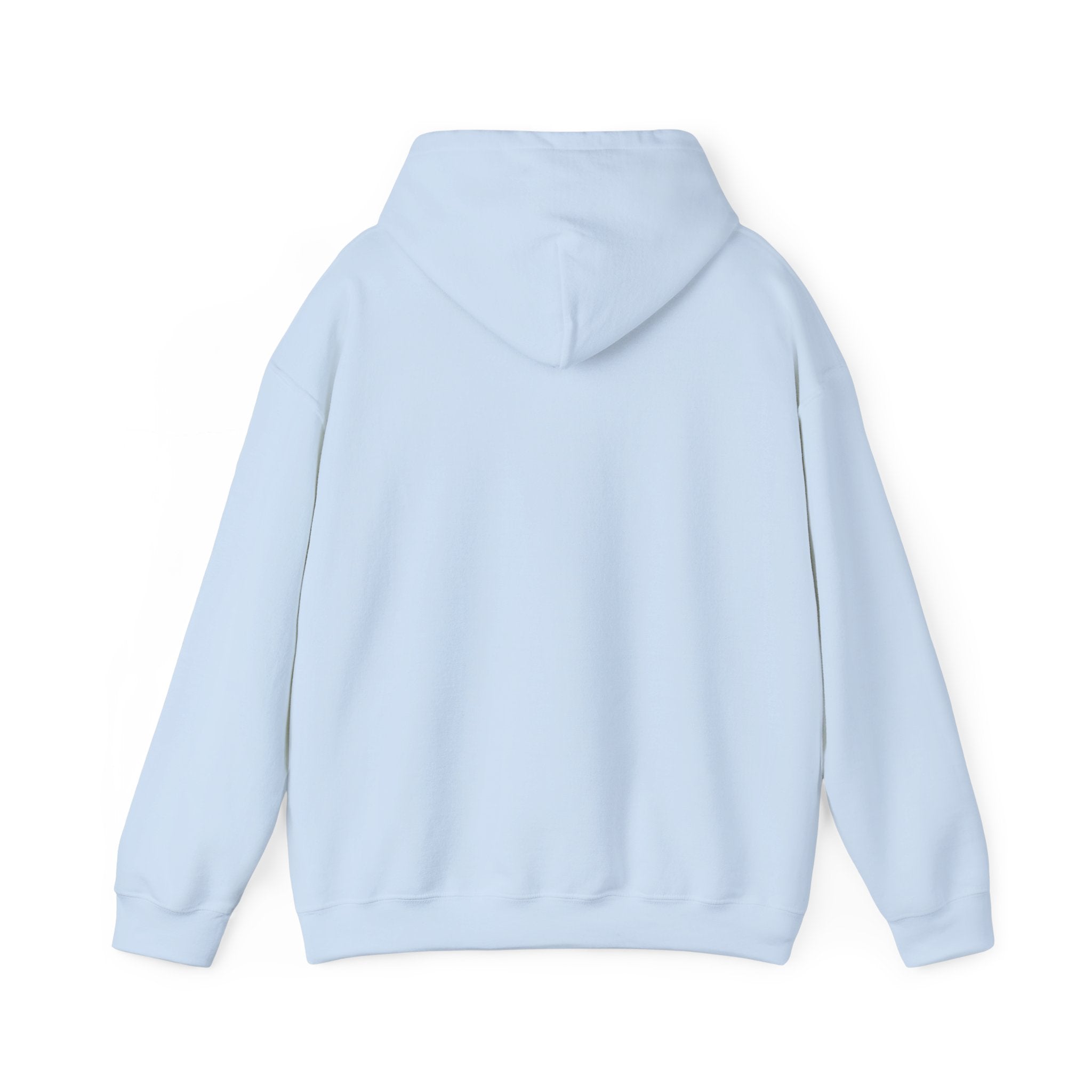 Paladin | DnD class Hoodie
