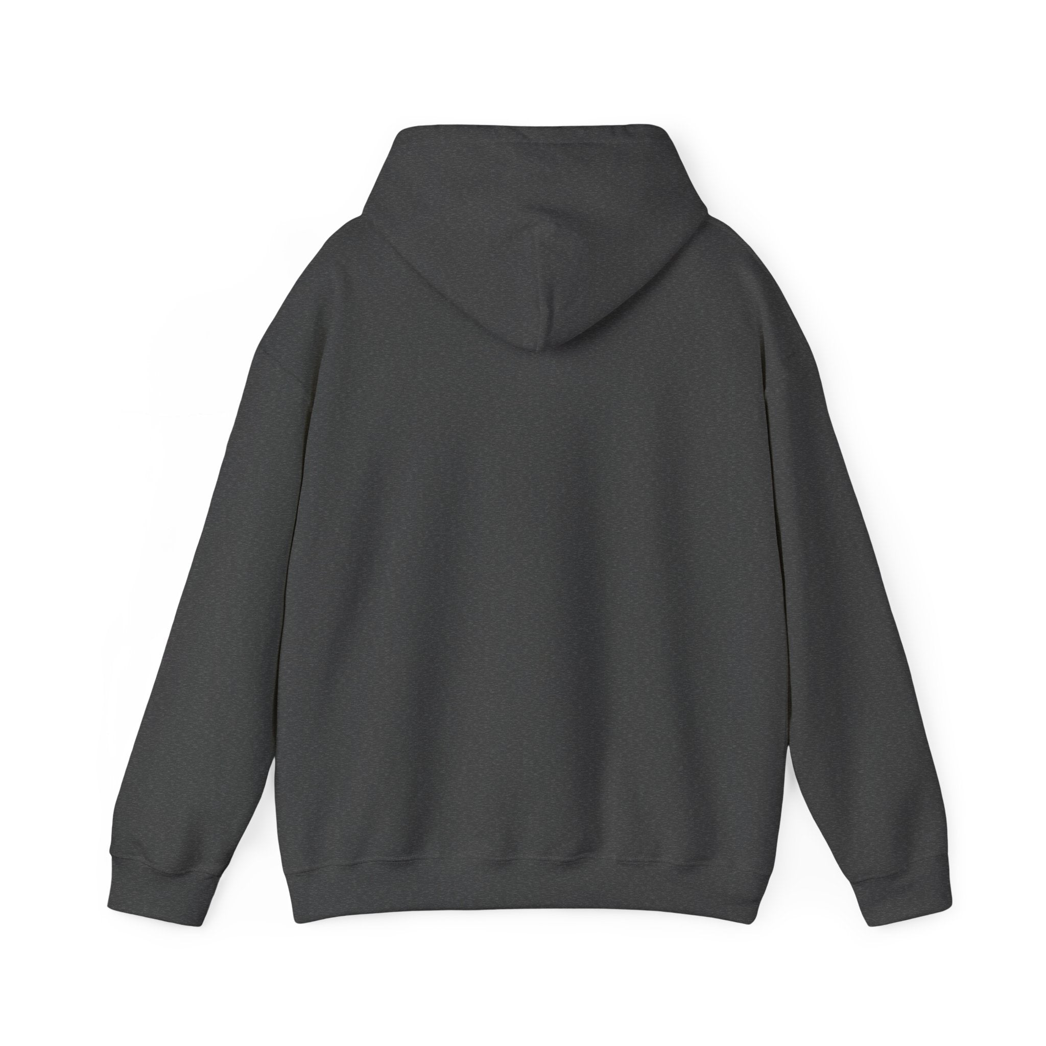 Rogue | DnD class Hoodie