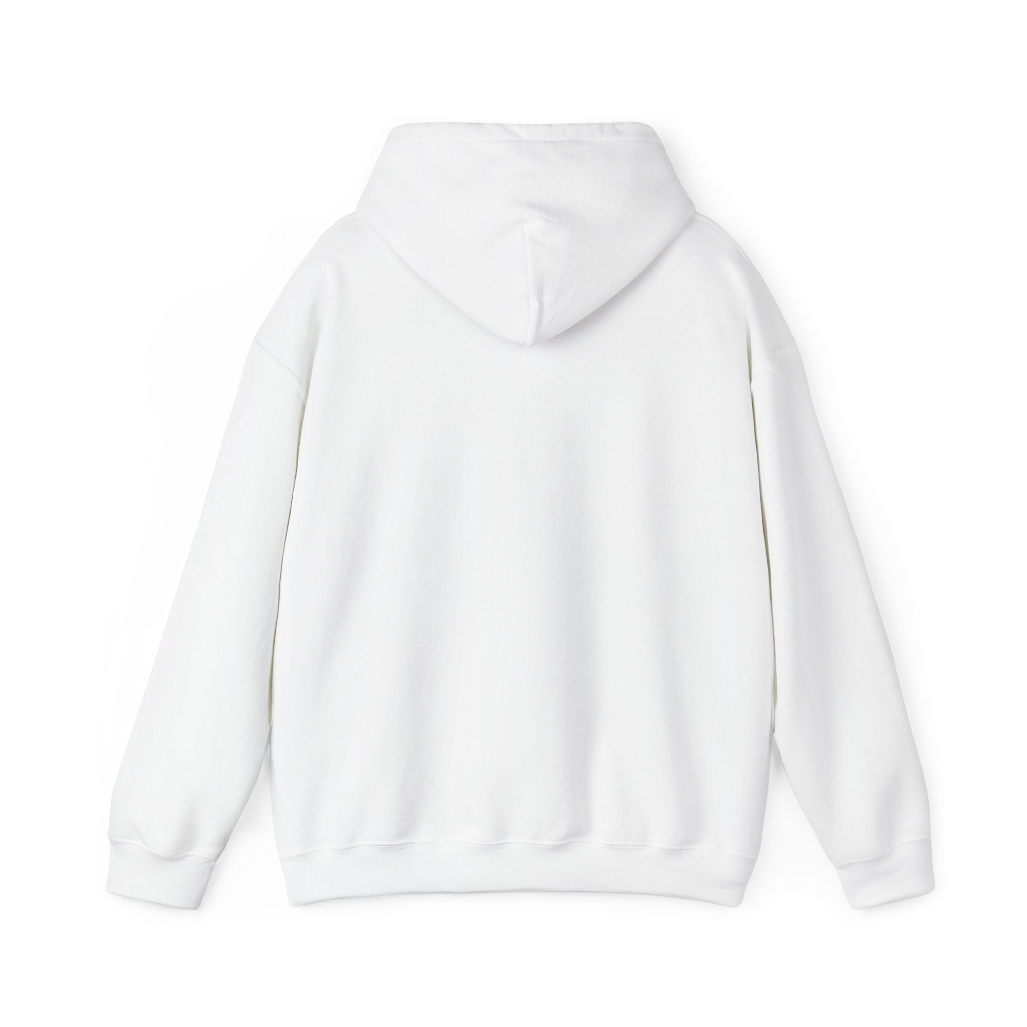 Paladin | DnD class Hoodie
