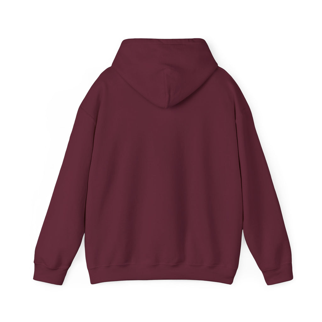 Paladin | DnD class Hoodie