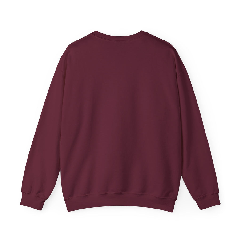 Paladin | DnD class Sweatshirt