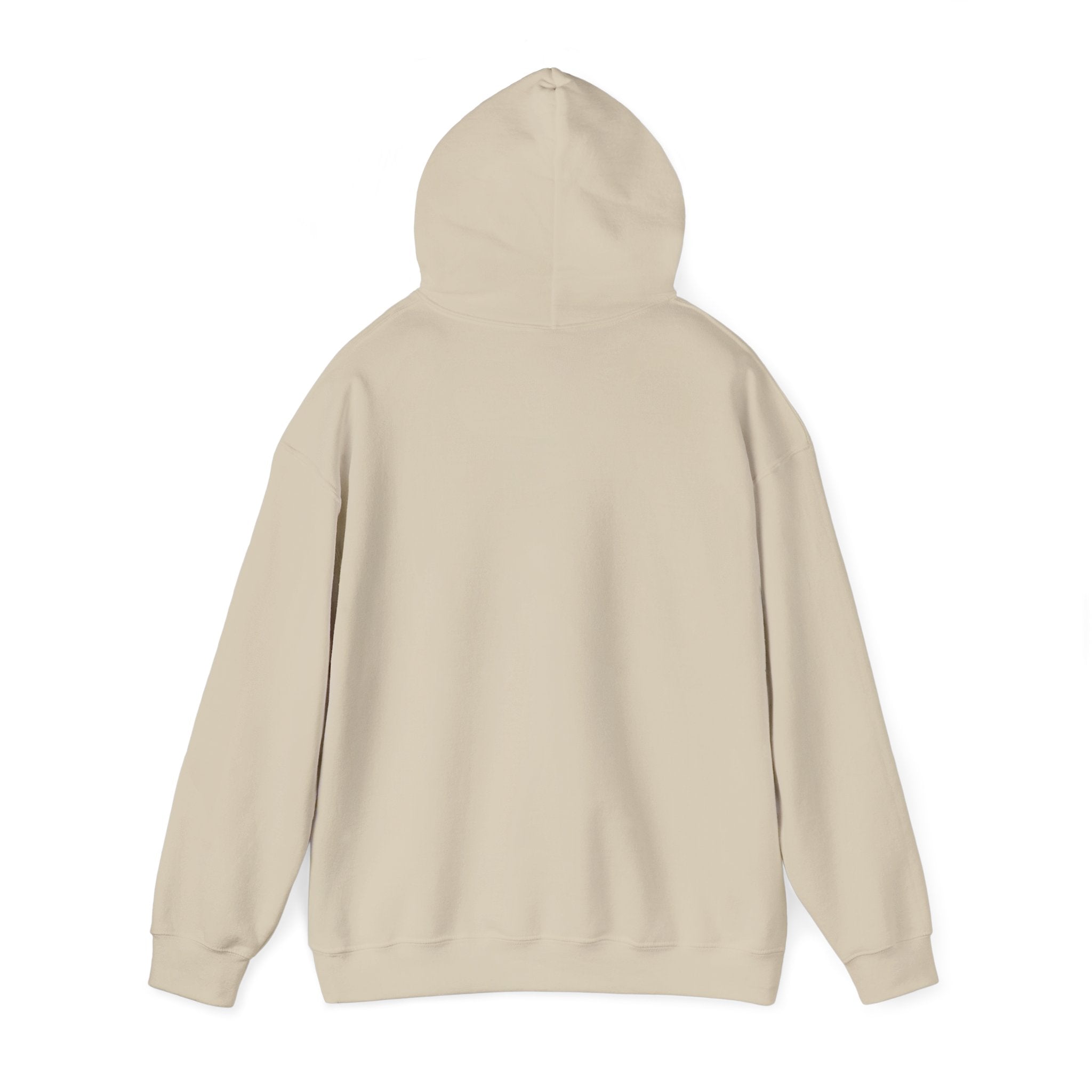 Paladin | DnD class Hoodie