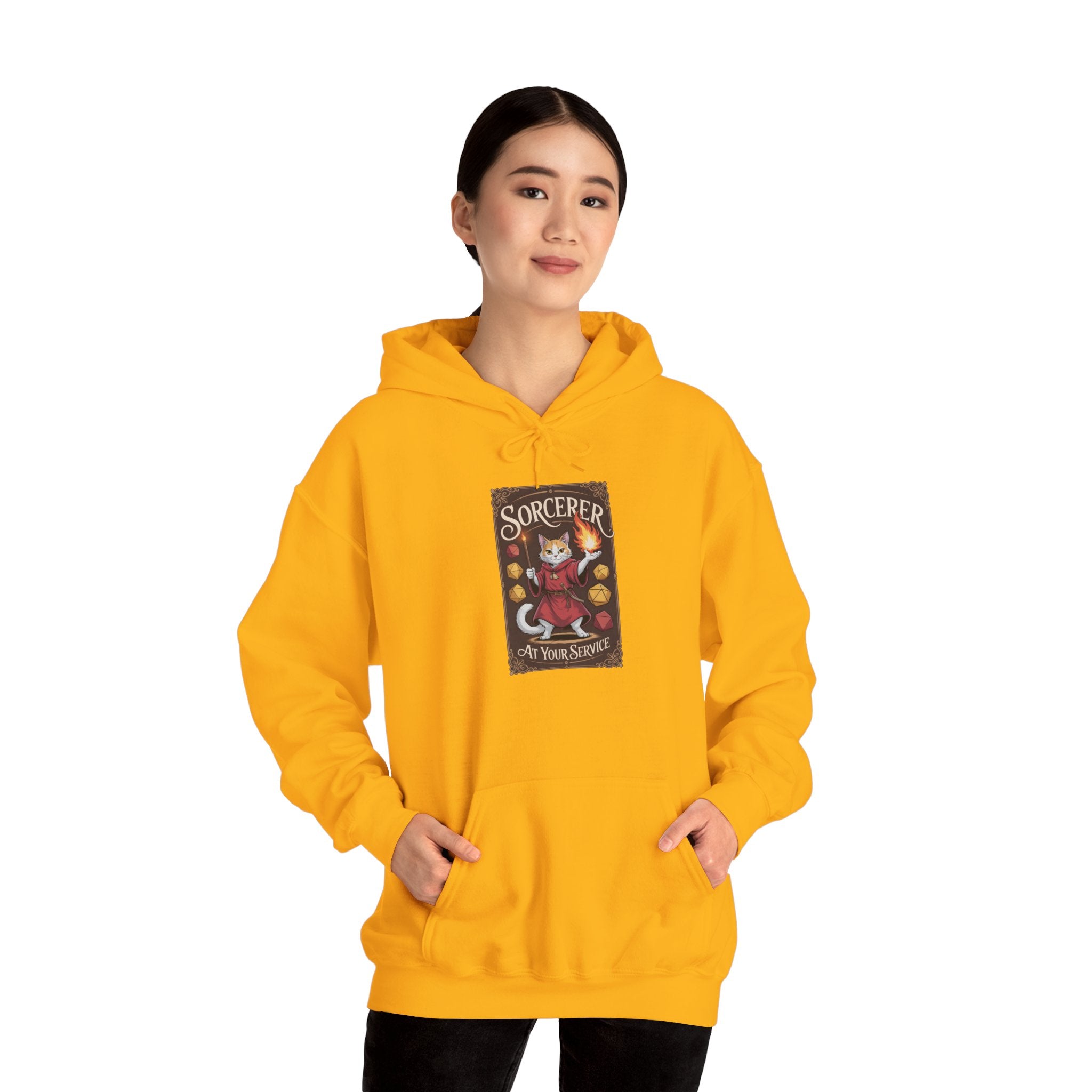 Sorcerer Cat at Your Service D&D Hoodie | Cat Lover RPG Gift