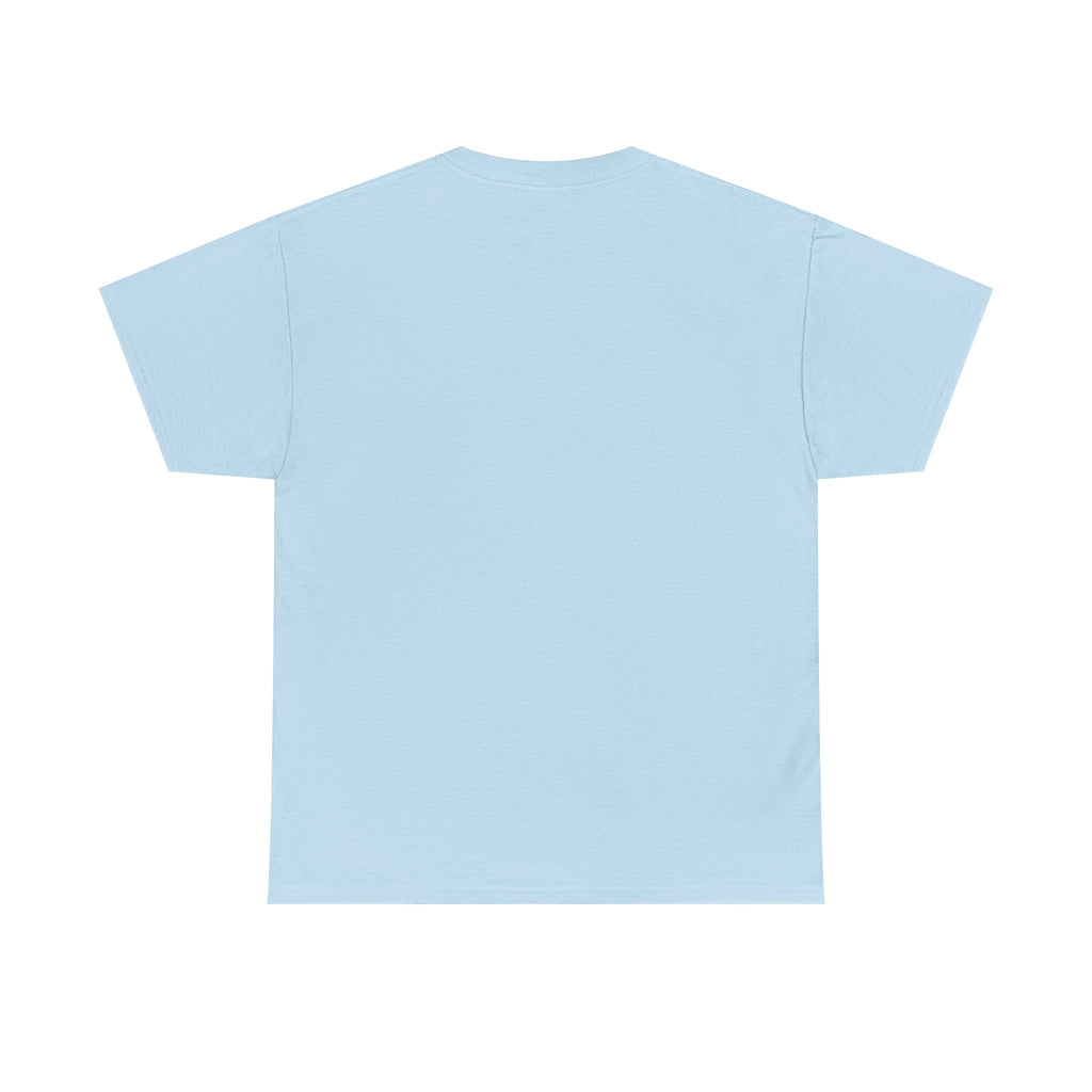 Paladin | DnD class T-shirt