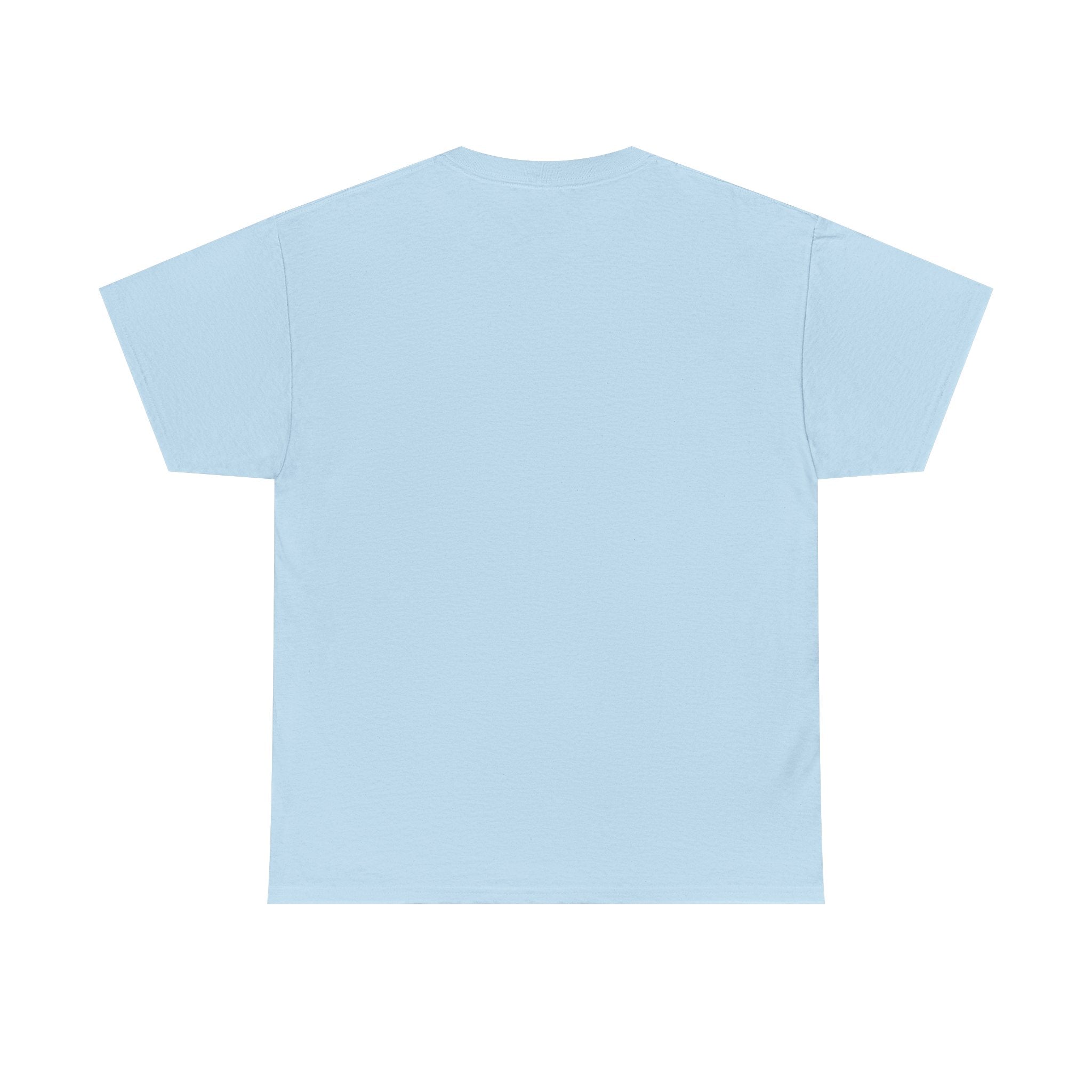 Paladin | DnD class T-shirt