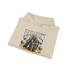 Paladin | DnD class Hoodie