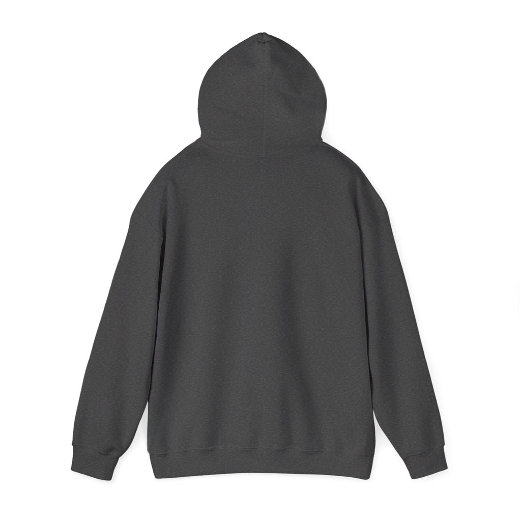 Rogue | DnD class Hoodie
