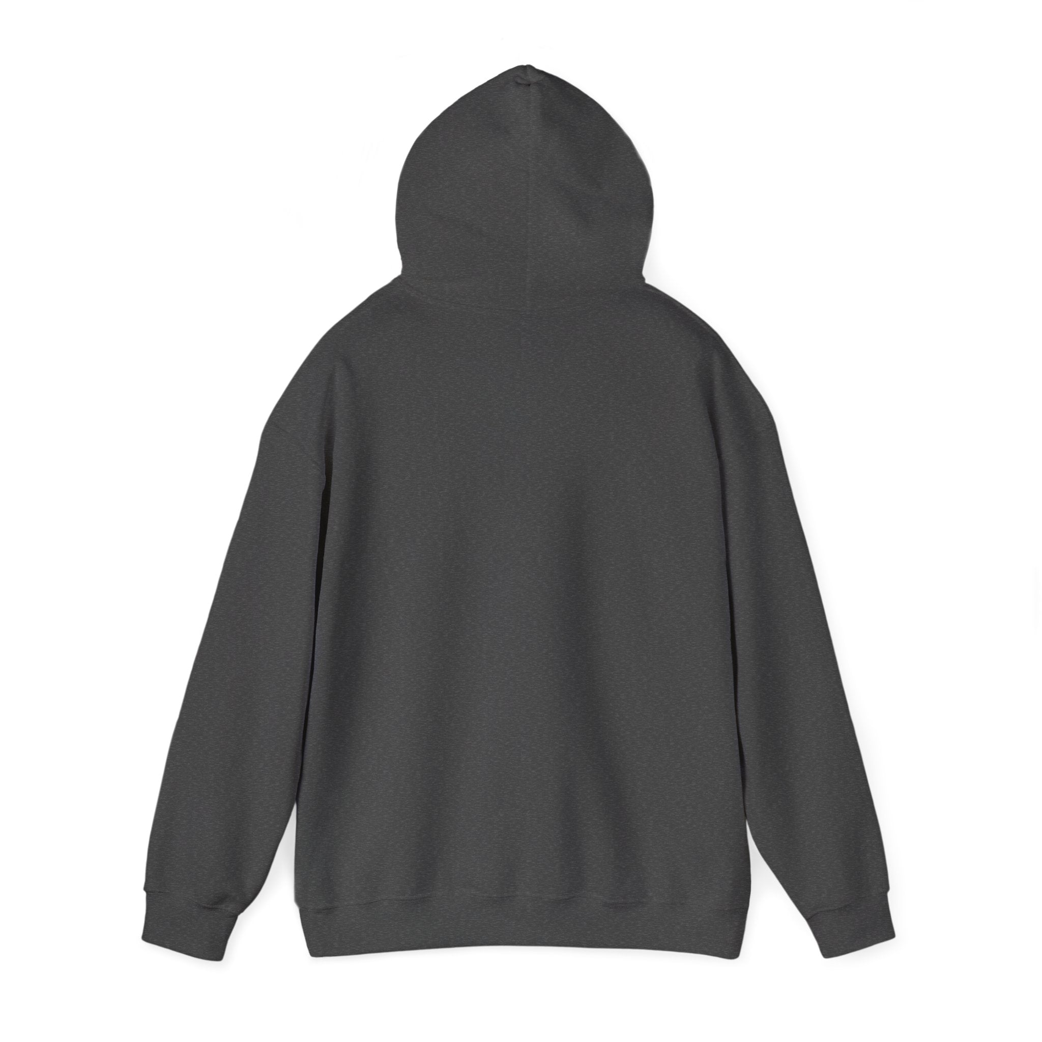 Rogue | DnD class Hoodie
