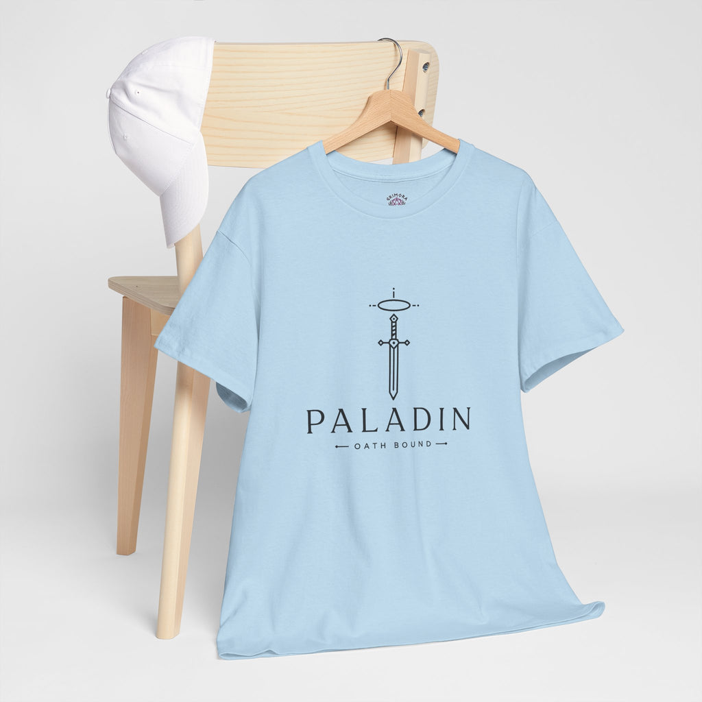 Paladin – Stand for Justice | DnD class T-shirt
