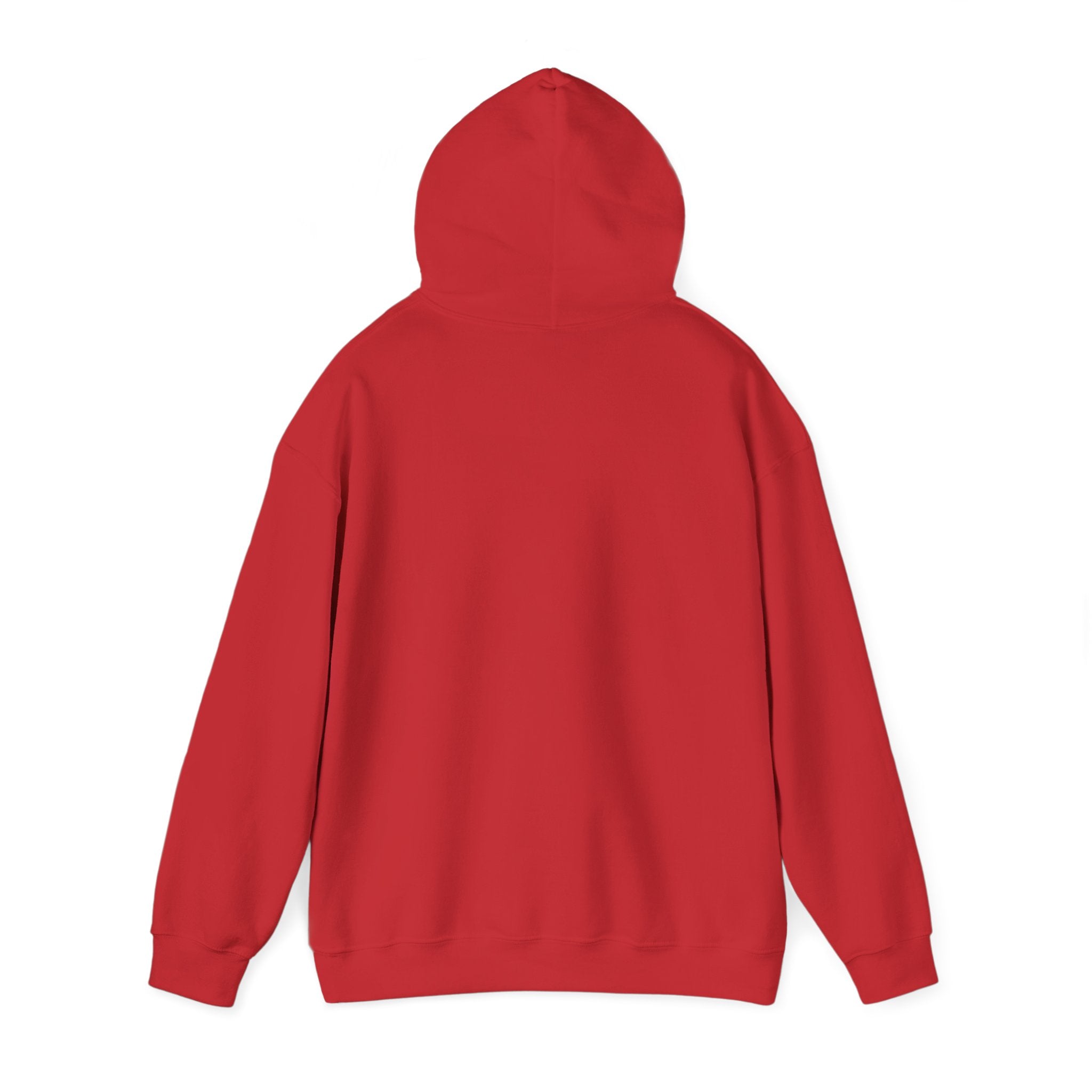 Paladin | DnD class Hoodie