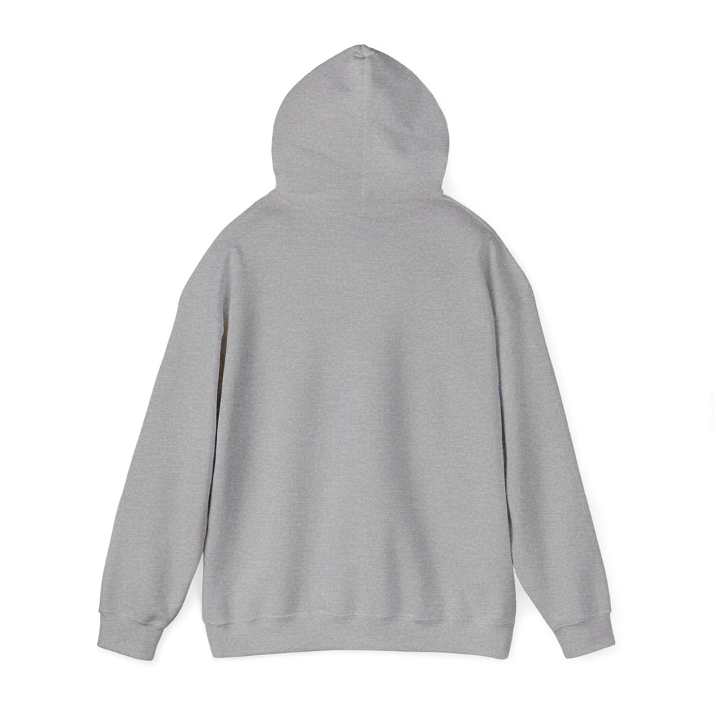 Paladin | DnD class Hoodie