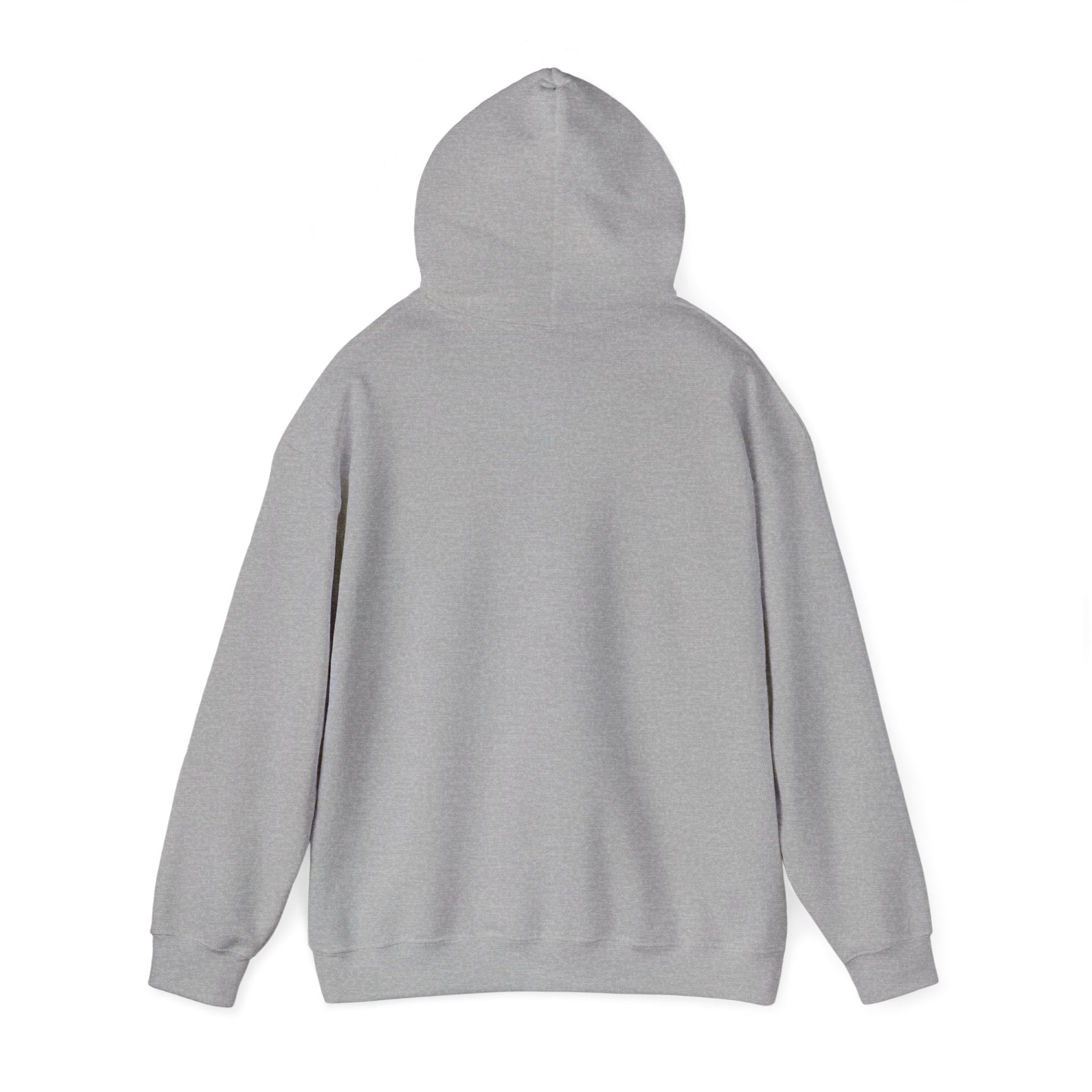 Paladin | DnD class Hoodie