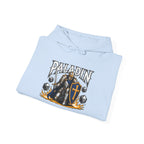 Paladin | DnD class Hoodie